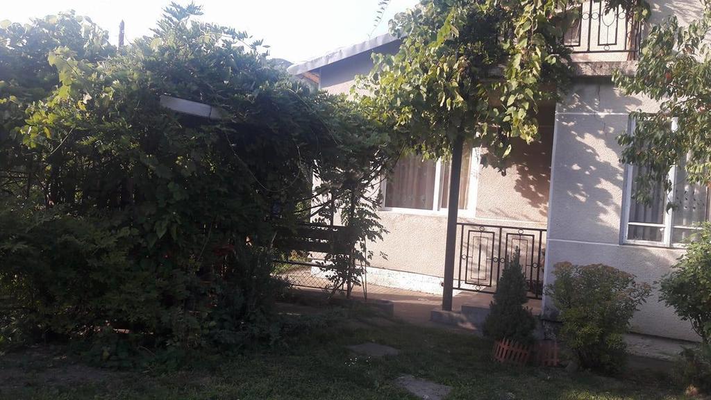 Sadyba Karpatskyi Vedmid Kosiv Exteriör bild